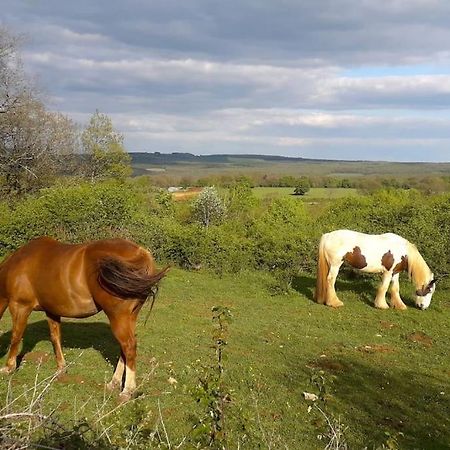 Maison De Bois En Pleine Nature A 20 Min De Beaune Montceau-et-Echarnant Buitenkant foto