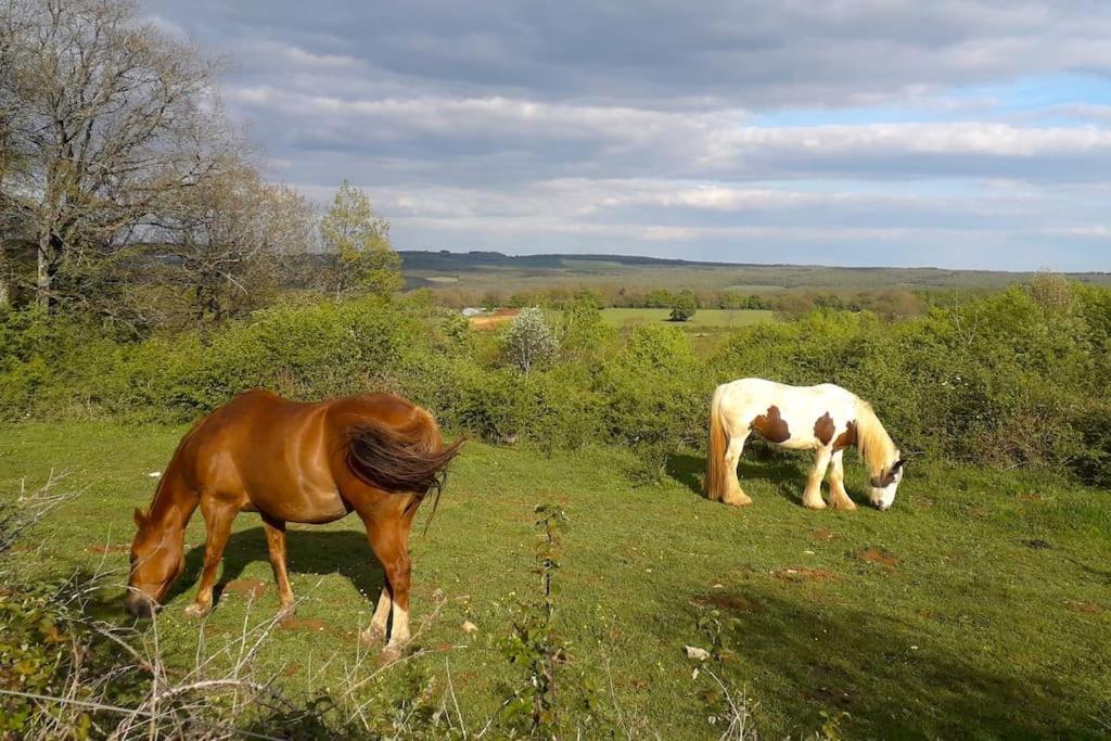 Maison De Bois En Pleine Nature A 20 Min De Beaune Montceau-et-Echarnant Buitenkant foto